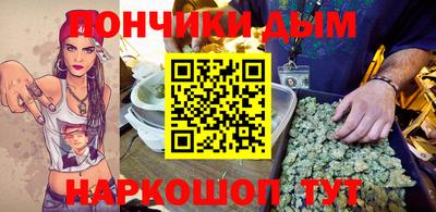 индика Кандалакша