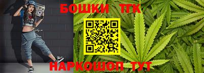 индика Кандалакша