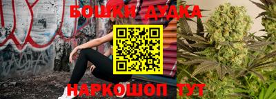 индика Кандалакша