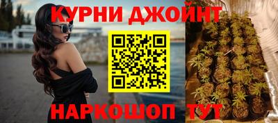 индика Кандалакша