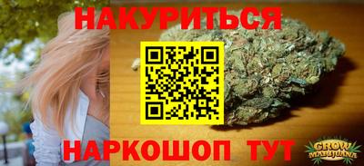 индика Кандалакша
