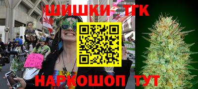 индика Кандалакша